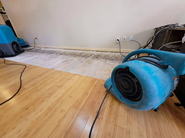 Professional Sewage Cleanup technician working in Mico, TX